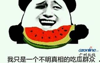 吃瓜群众的解释